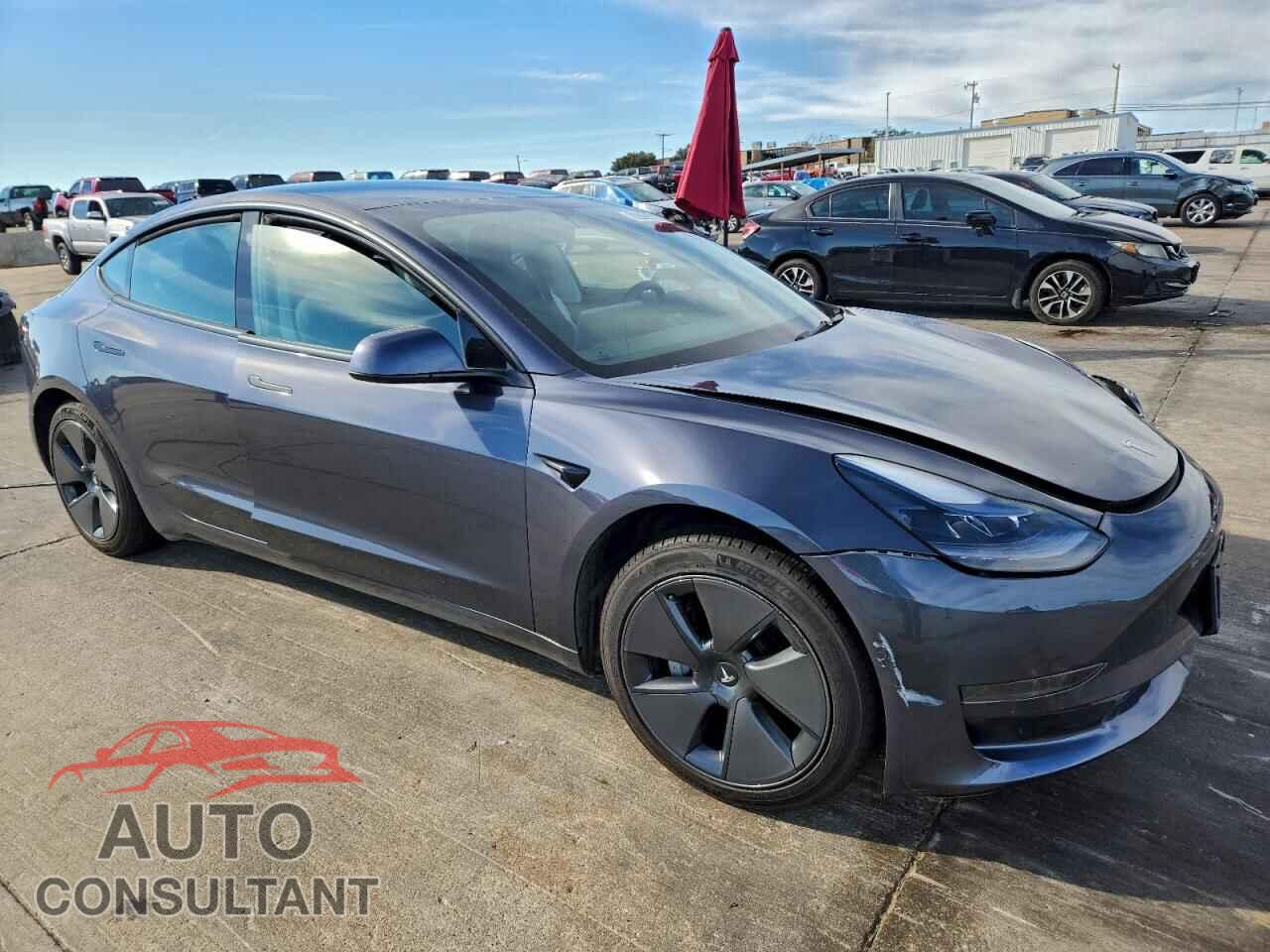 TESLA MODEL 3 2021 - 5YJ3E1EA3MF095022