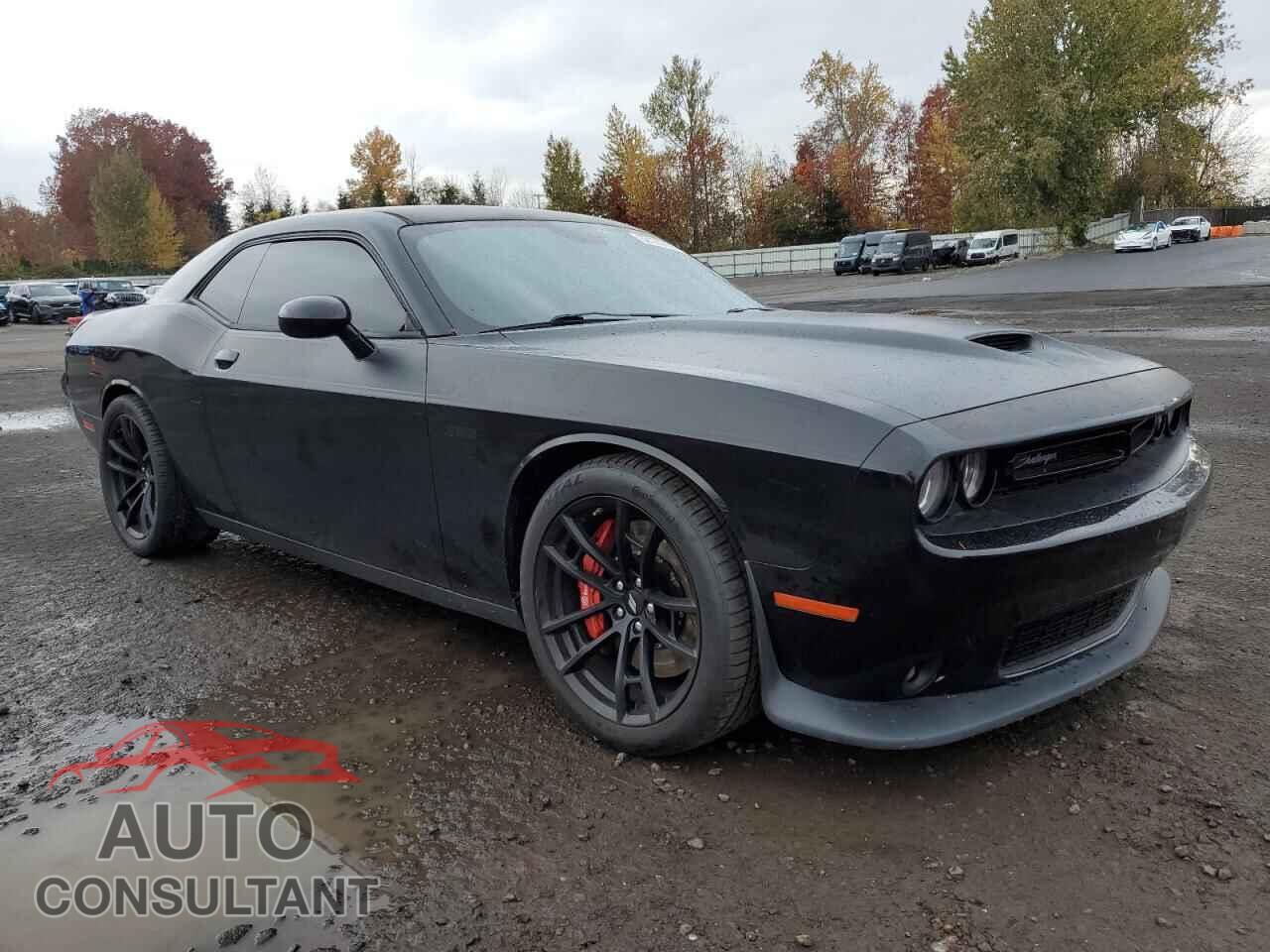 DODGE CHALLENGER 2019 - 2C3CDZFJ5KH513513