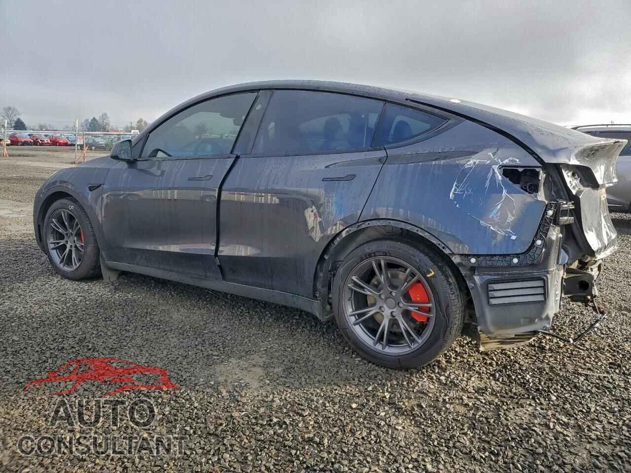 TESLA MODEL Y 2025 - 7SAYGDEF7SF222738