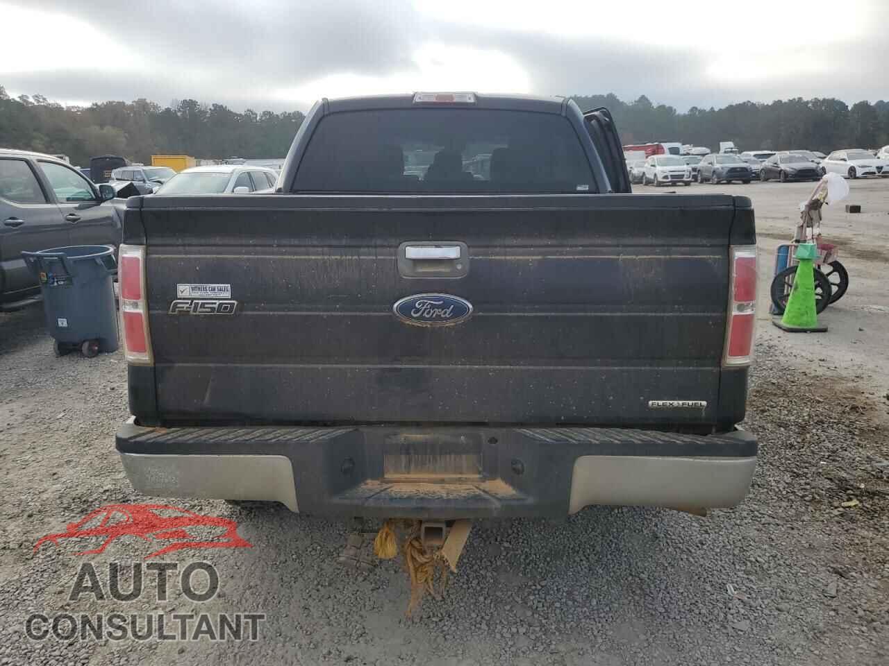 FORD F-150 2013 - 1FTFW1CF4DFD30919