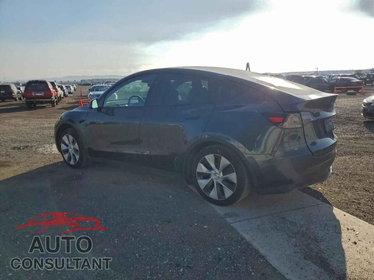 TESLA MODEL Y 2024 - 7SAYGDED2RF039353