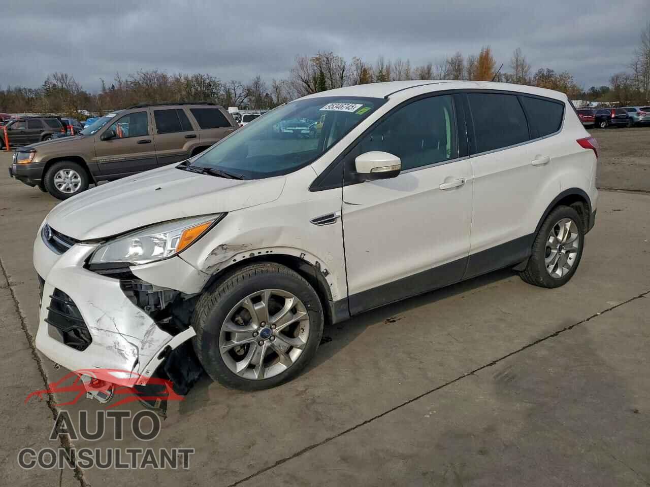FORD ESCAPE 2013 - 1FMCU0H95DUA14815