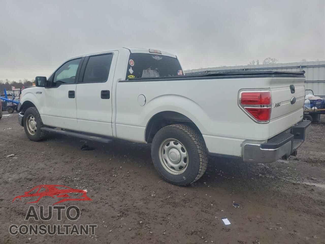 FORD F-150 2012 - 1FTVW1CF8CKD89232