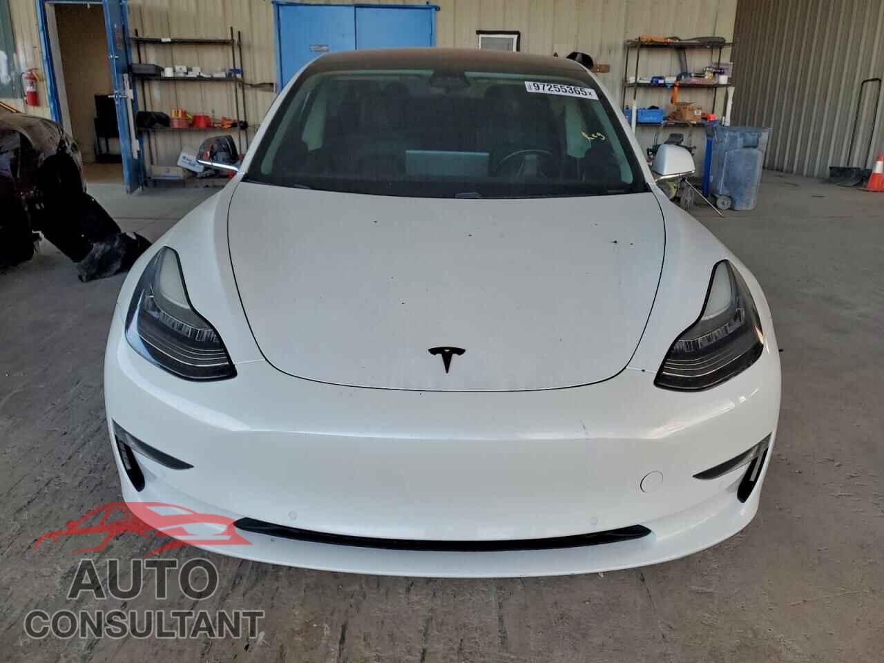 TESLA MODEL 3 2019 - 5YJ3E1EA4KF301350