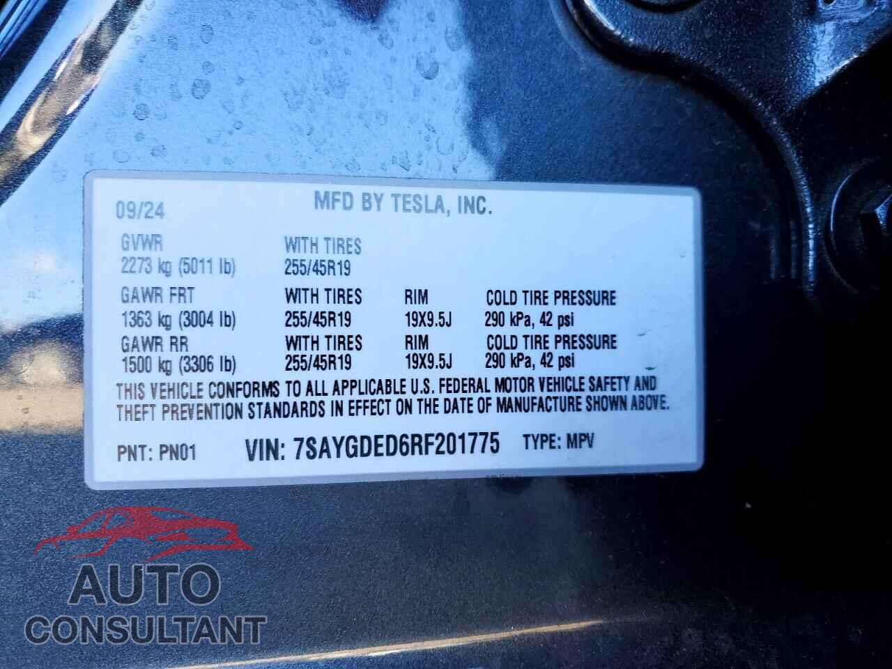 TESLA MODEL Y 2024 - 7SAYGDED6RF201775
