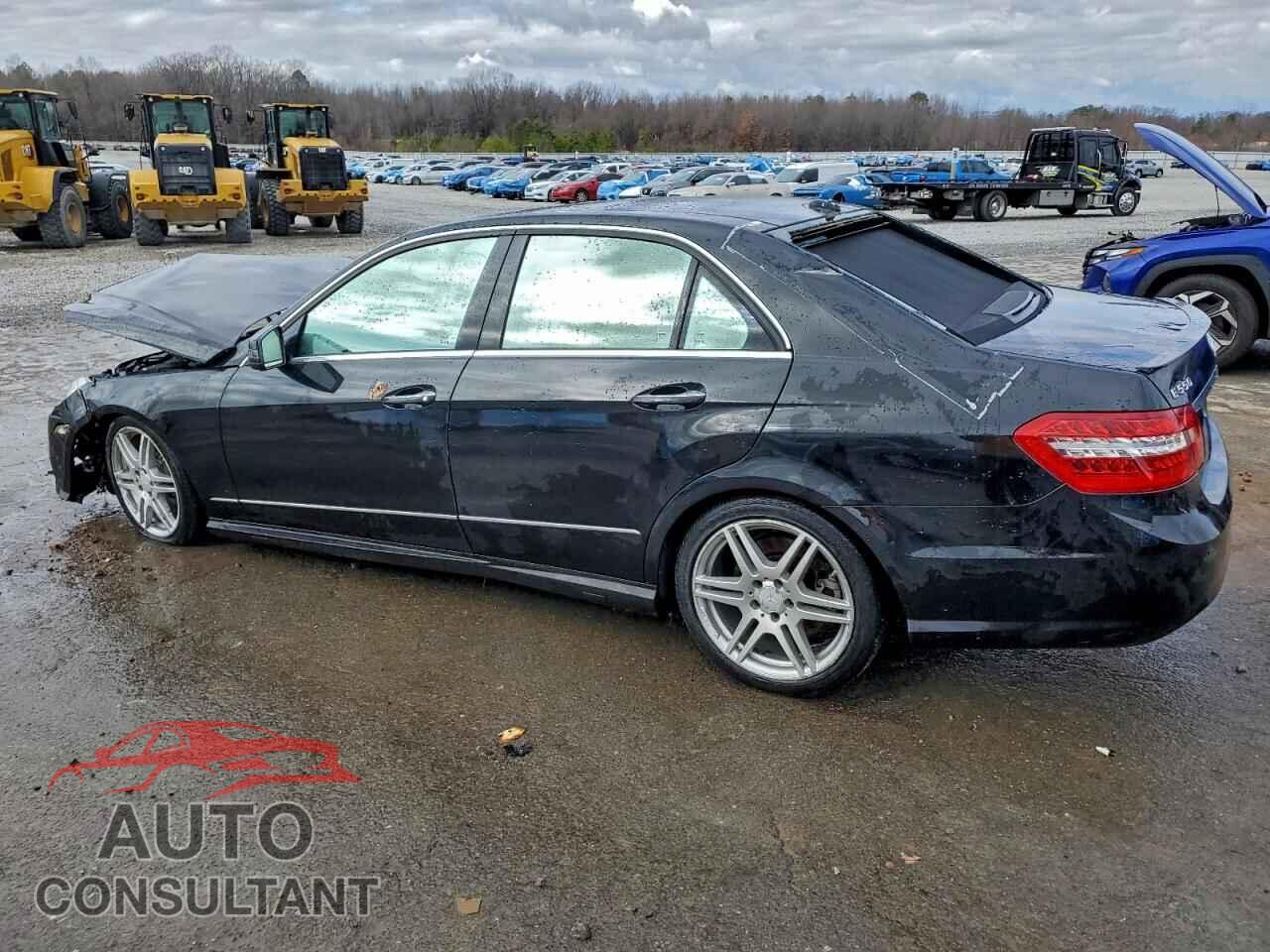 MERCEDES-BENZ E-CLASS 2010 - WDDHF7CB4AA211663