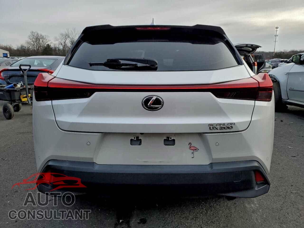 LEXUS UX 200 2019 - JTHY3JBH2K2001840