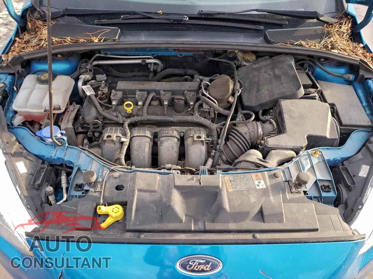 FORD FOCUS 2016 - 1FADP3F20GL243409
