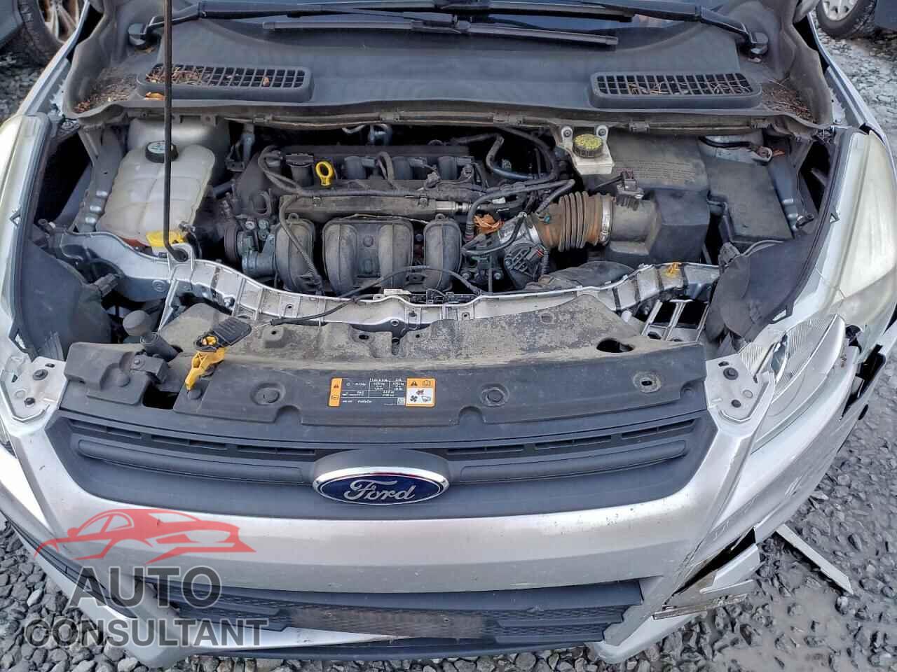 FORD ESCAPE 2013 - 1FMCU0F71DUB88155