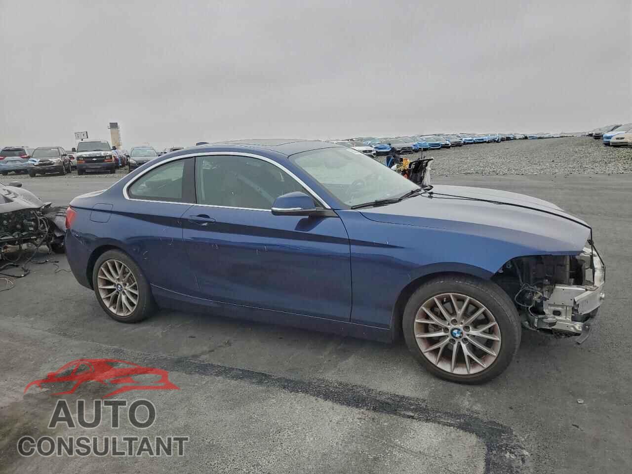 BMW 2 SERIES 2014 - WBA1F5C54EV255538