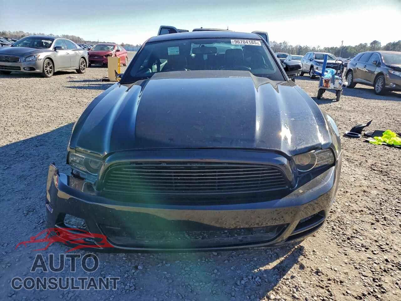 FORD MUSTANG 2013 - 1ZVBP8CF7D5231003