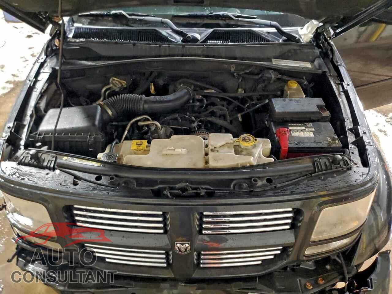DODGE NITRO 2011 - 1D4PU4GK8BW576729