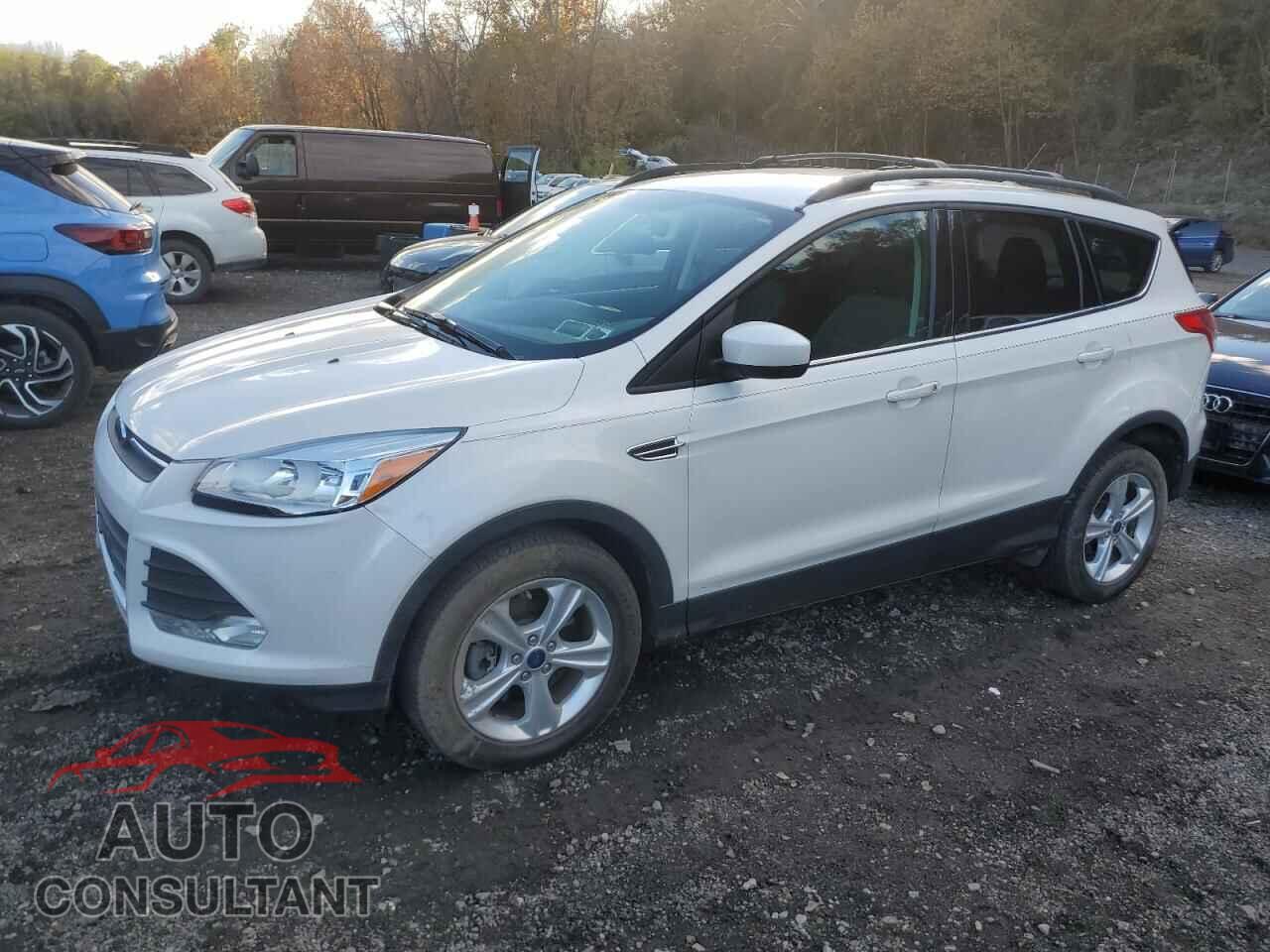 FORD ESCAPE 2014 - 1FMCU9G96EUB37093