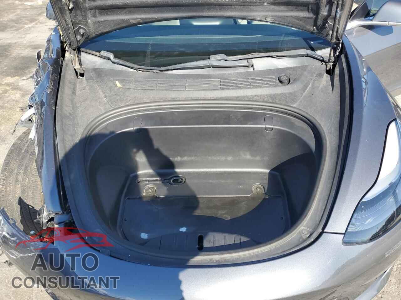 TESLA MODEL 3 2019 - 5YJ3E1EA1KF307381
