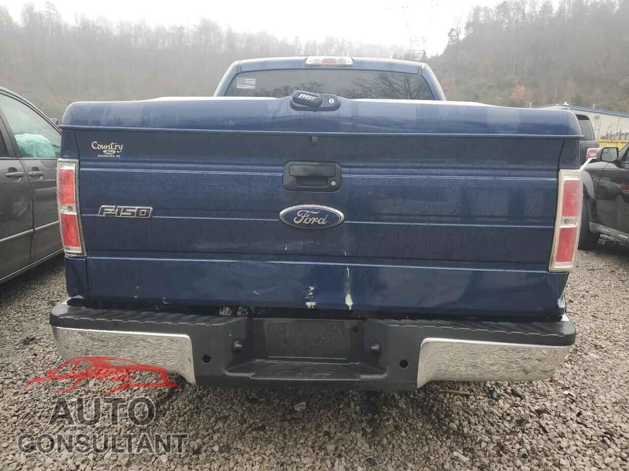 FORD F-150 2009 - 1FTRW12859FA69162