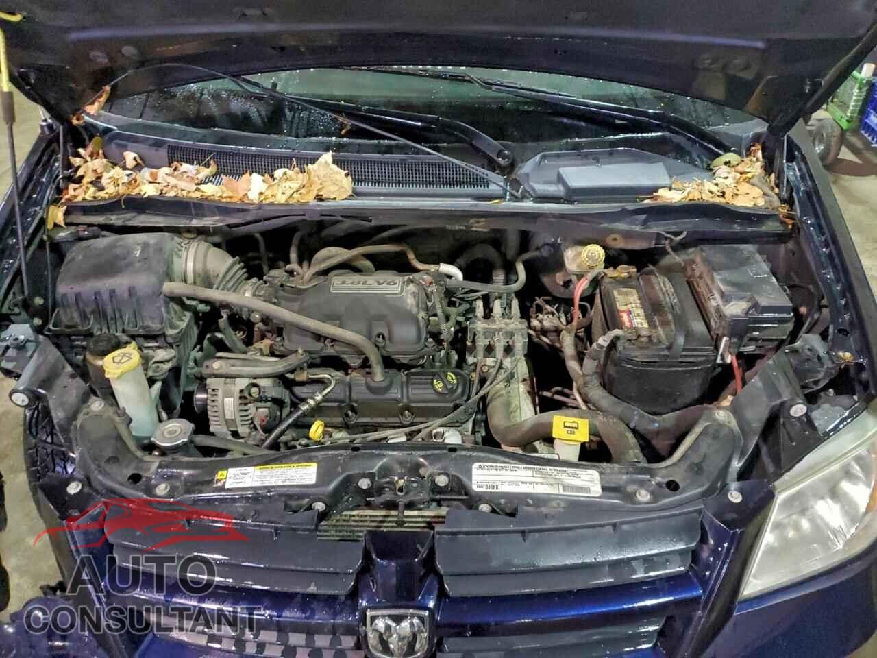 DODGE CARAVAN 2010 - 2D4RN3D12AR489038