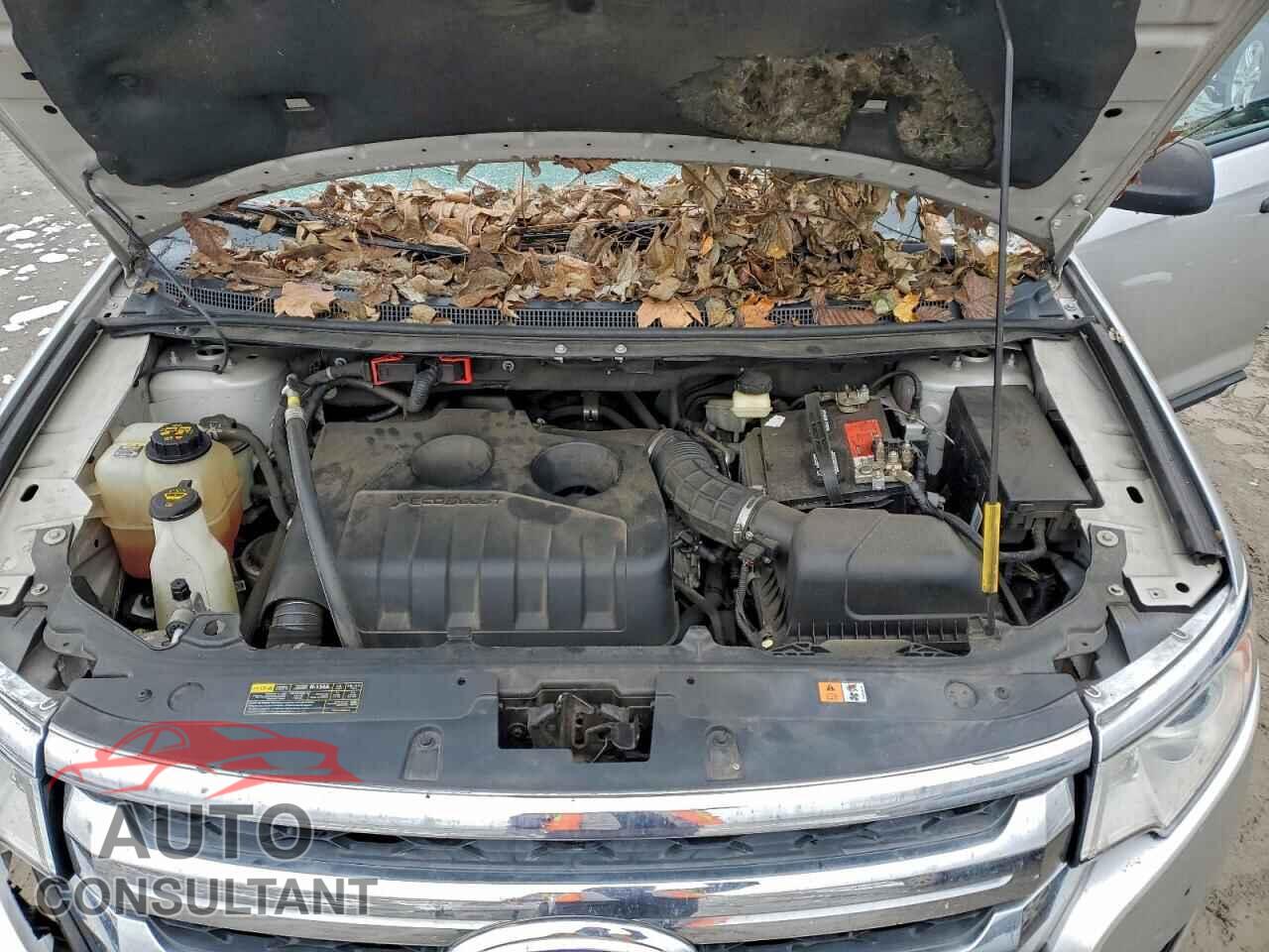 FORD EDGE 2014 - 2FMDK3G93EBA74368