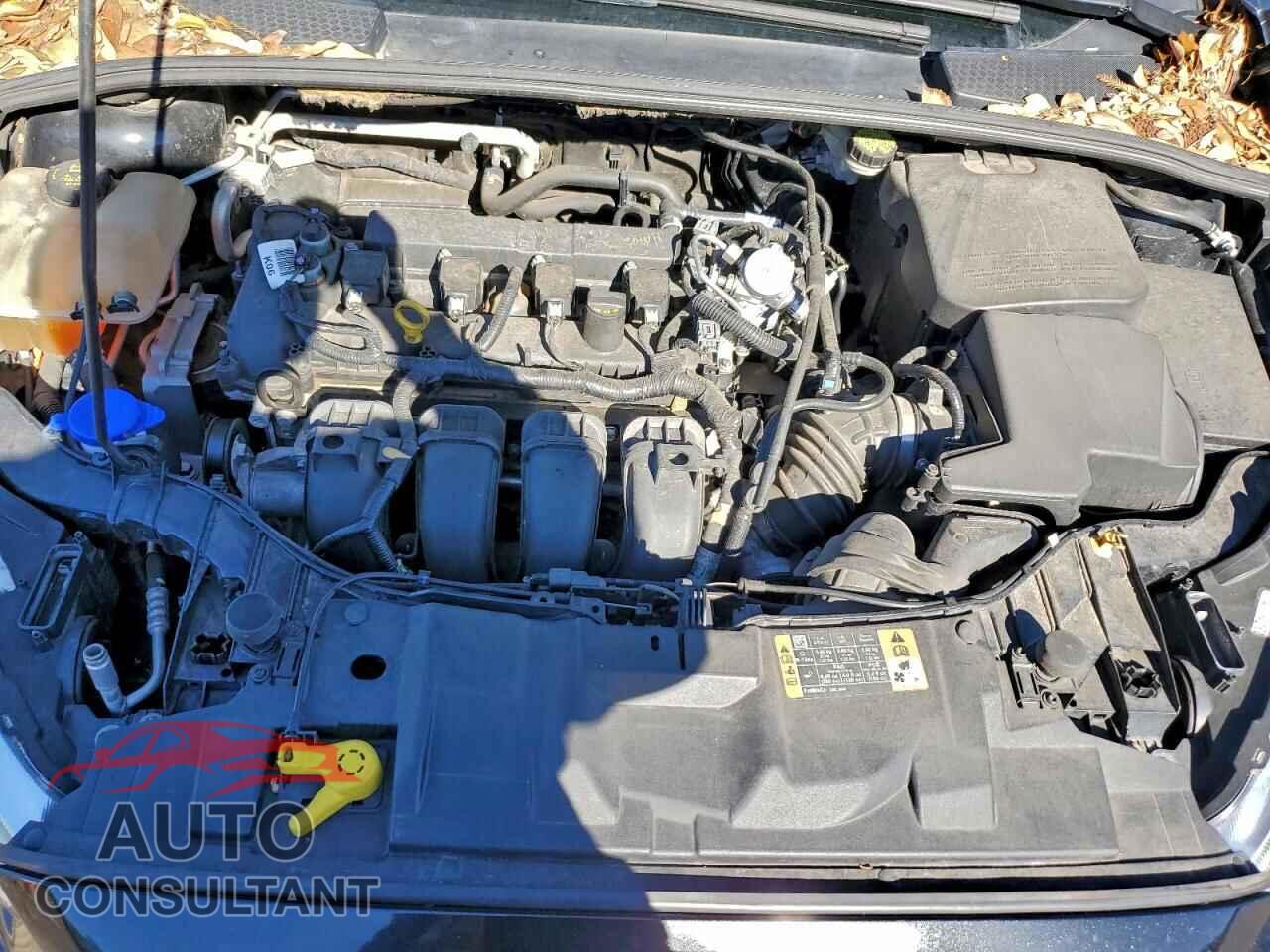 FORD FOCUS 2016 - 1FADP3N28GL346935