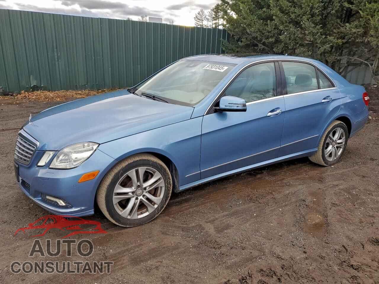 MERCEDES-BENZ E-CLASS 2010 - WDDHF8HB2AA191606