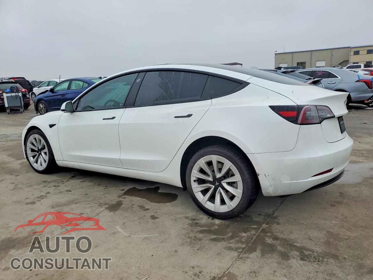 TESLA MODEL 3 2021 - 5YJ3E1EB0MF060480