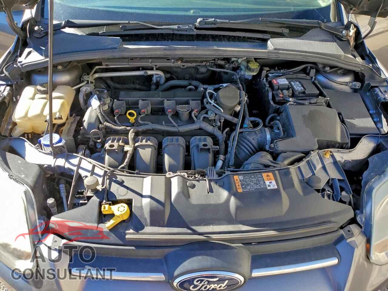 FORD FOCUS 2014 - 1FADP3K22EL339335