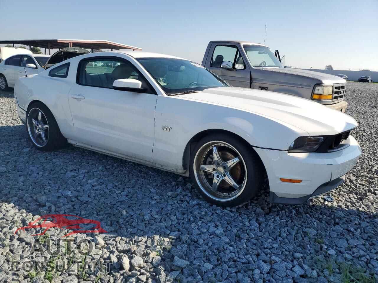 FORD MUSTANG 2010 - 1ZVBP8CH2A5115317