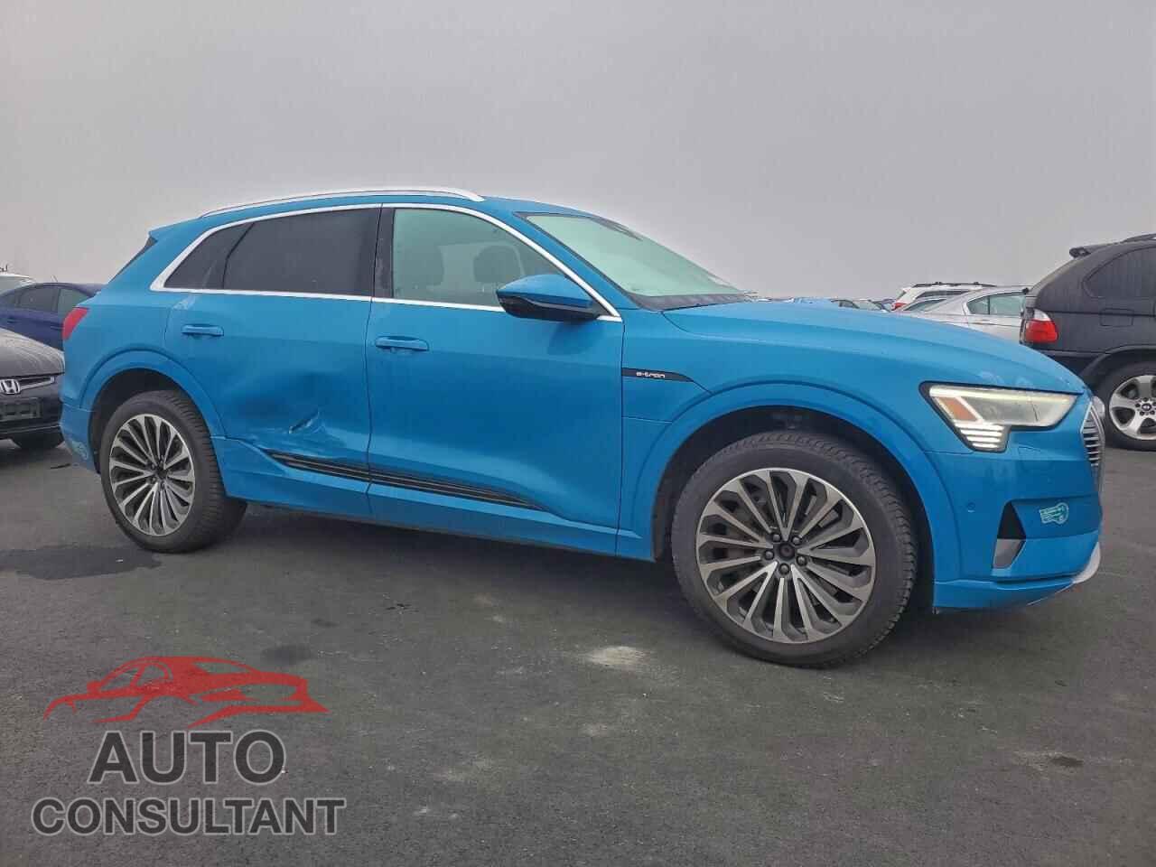 AUDI E-TRON 2019 - WA1VABGE3KB013052