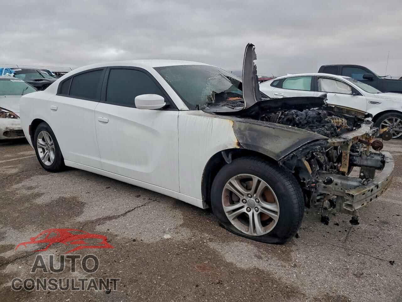 DODGE CHARGER 2019 - 2C3CDXBG2KH559041