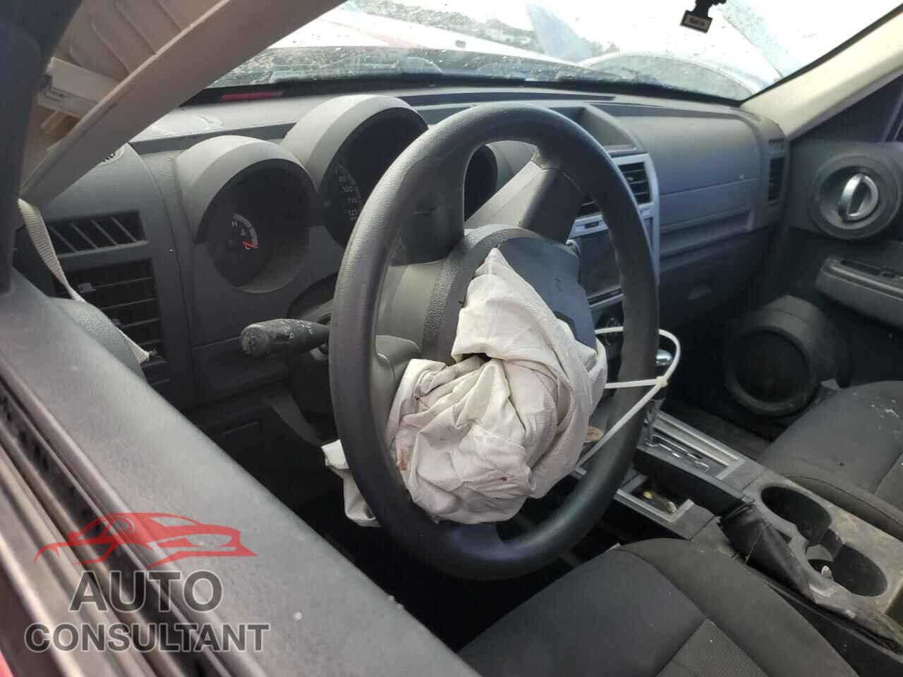 DODGE NITRO 2011 - 1D4PU4GX7BW564003