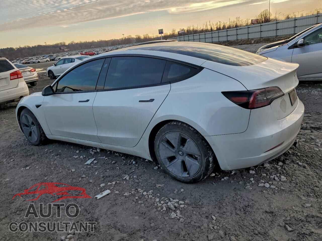 TESLA MODEL 3 2021 - 5YJ3E1EA1MF853665