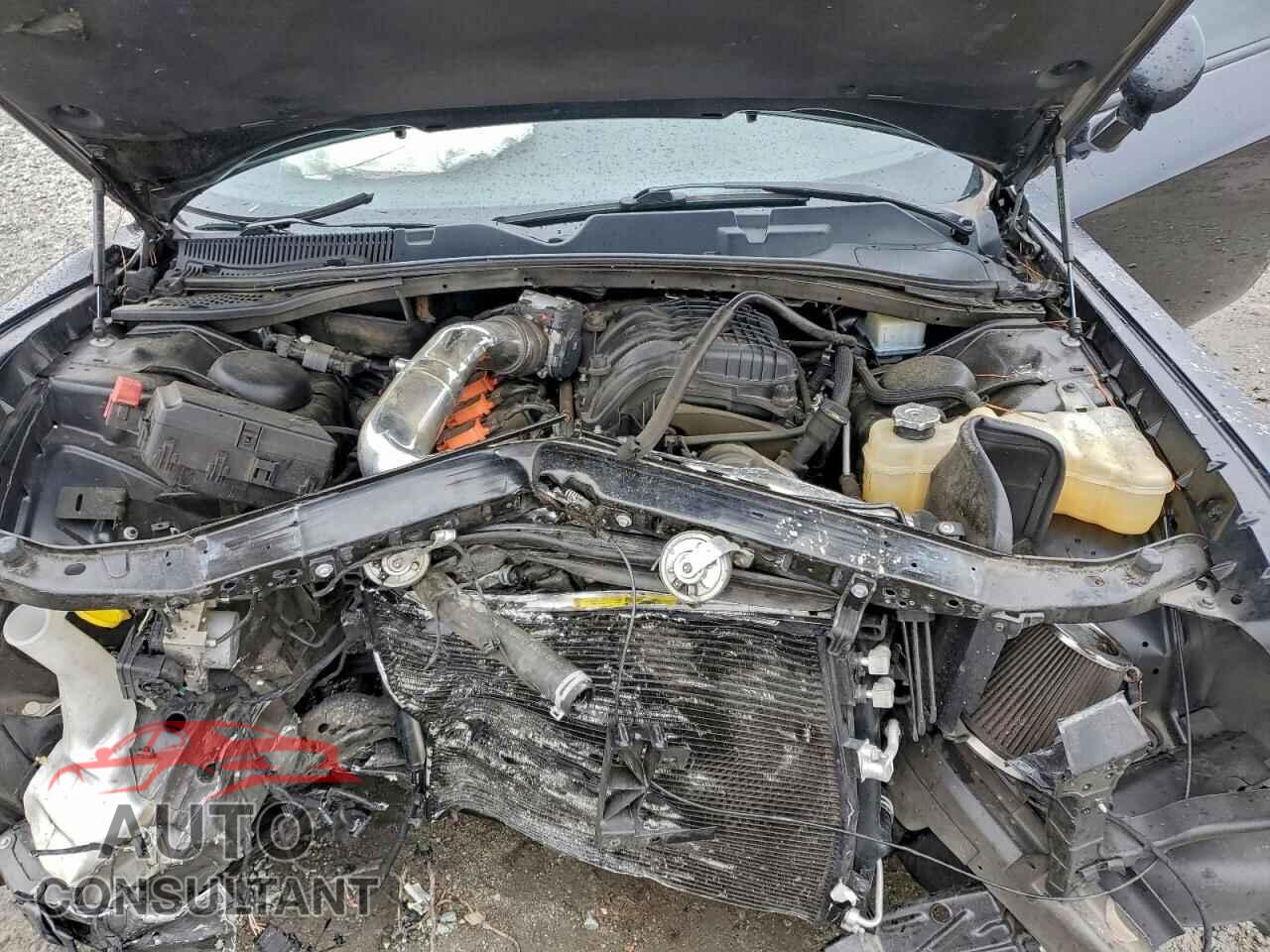 DODGE CHALLENGER 2019 - 2C3CDZAG5KH621481