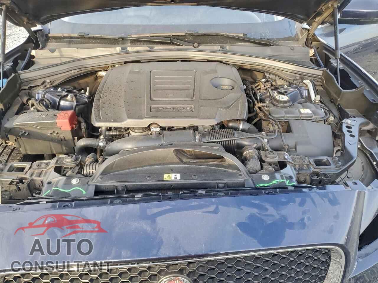 JAGUAR F-PACE 2018 - SADCK2FX7JA259902