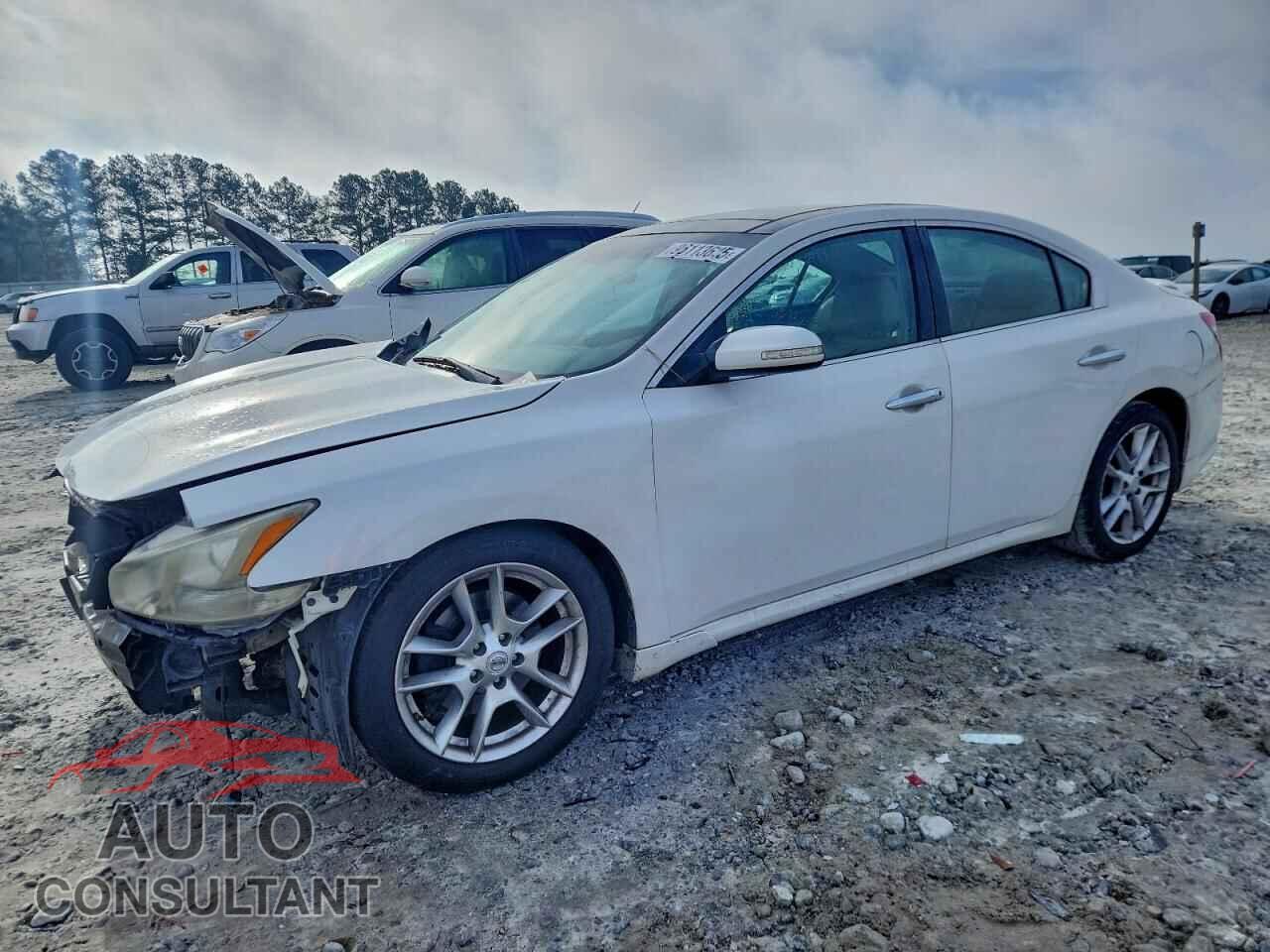 NISSAN MAXIMA 2011 - 1N4AA5AP1BC864315