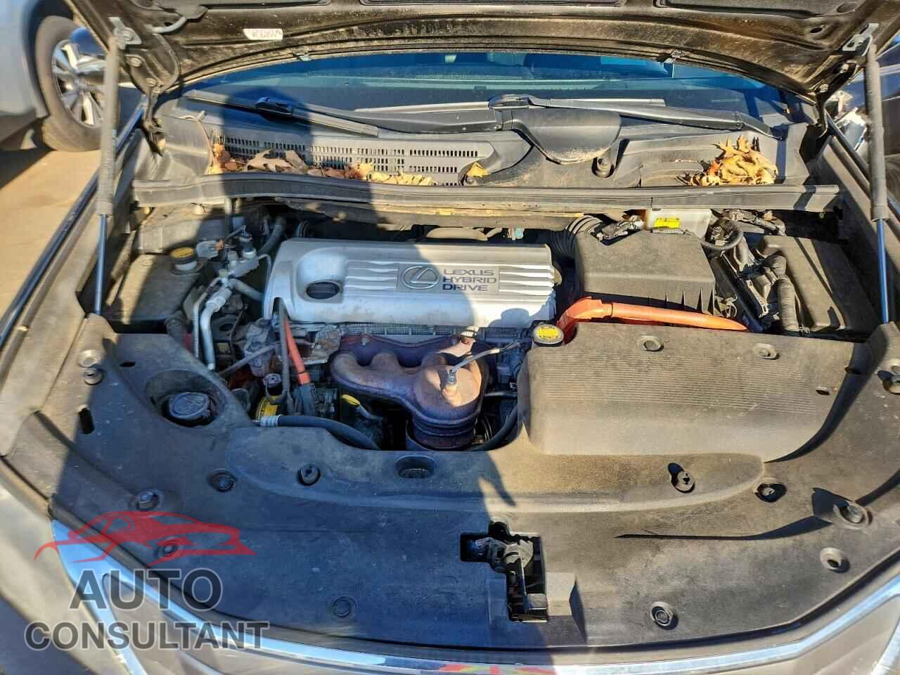 LEXUS HS 2010 - JTHBB1BA3A2006121
