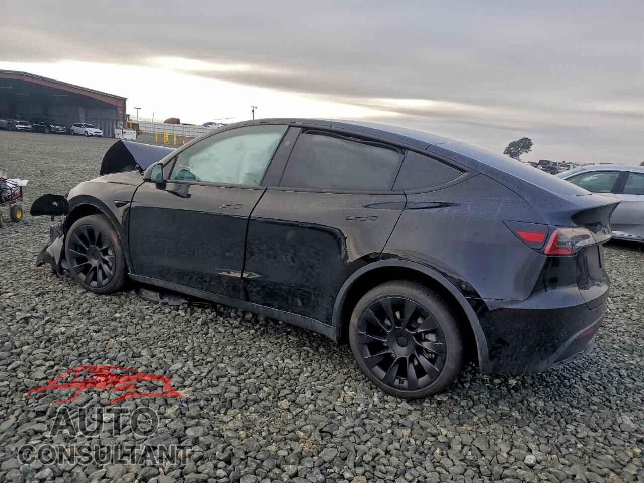 TESLA MODEL Y 2024 - 7SAYGDEE2RF163745