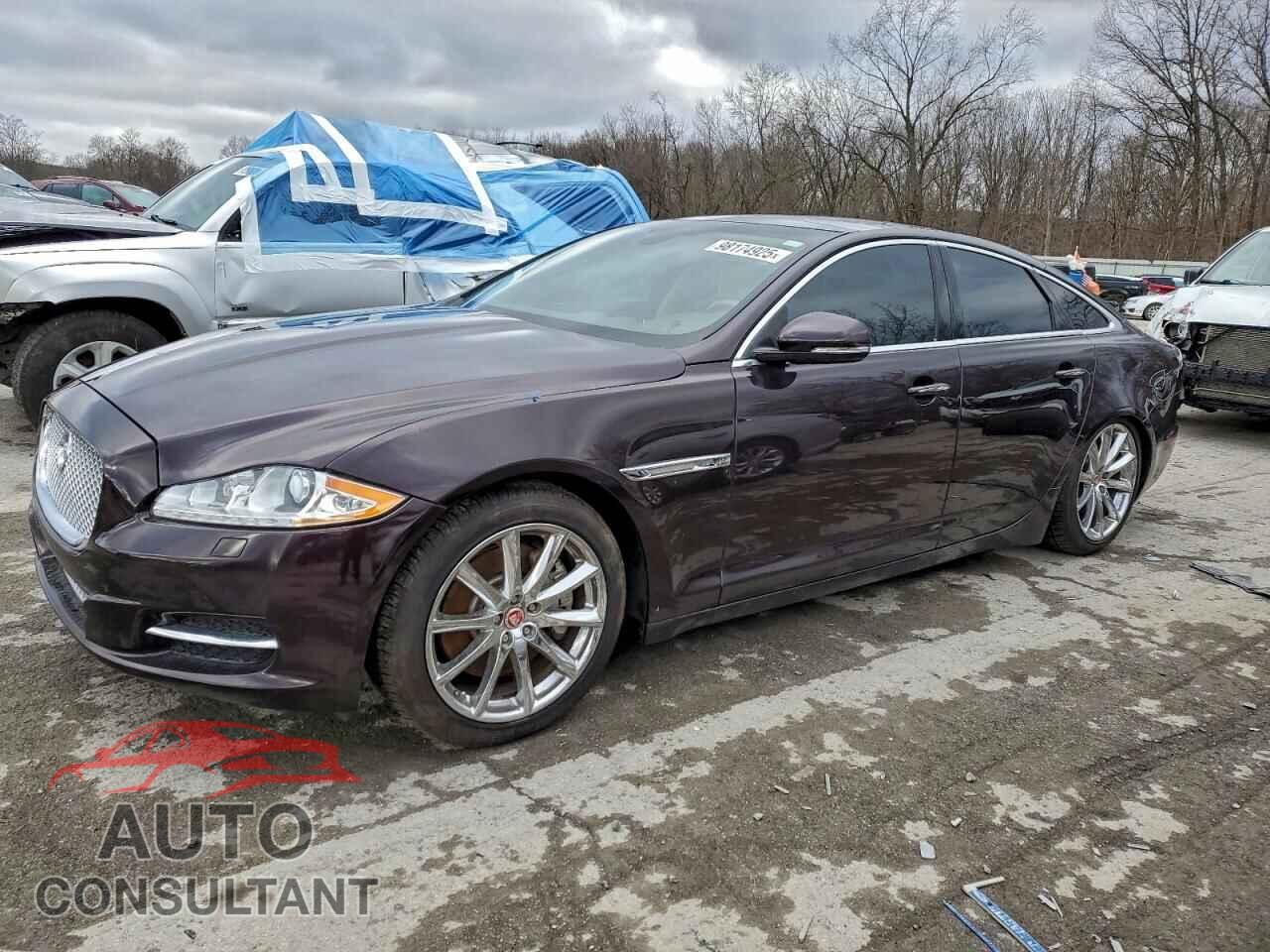 JAGUAR XJ 2014 - SAJWJ1CD4E8V63445