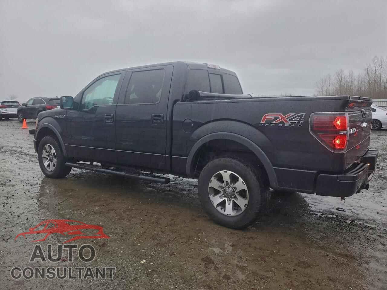 FORD F-150 2013 - 1FTFW1EF8DFE07627