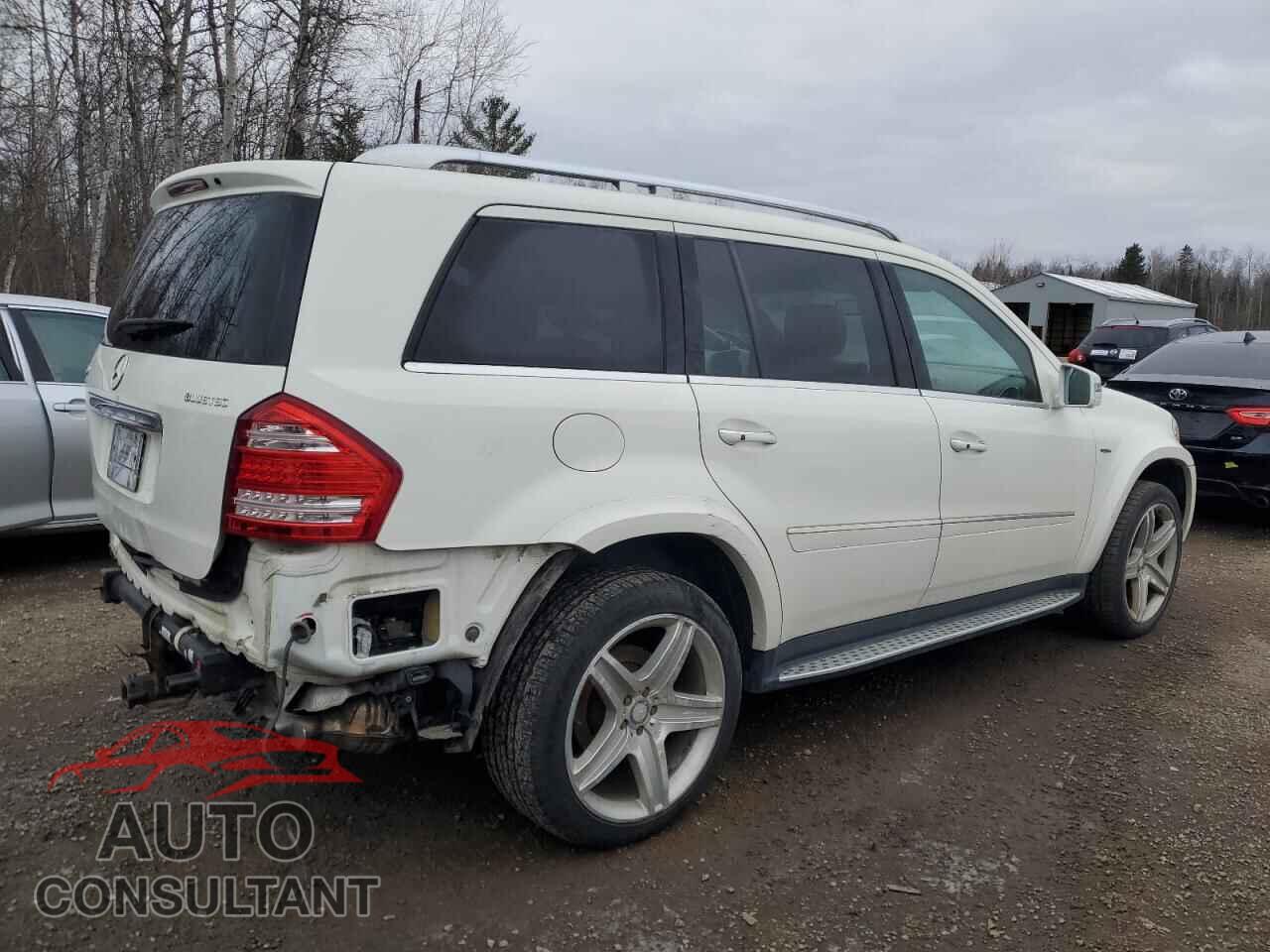 MERCEDES-BENZ GL-CLASS 2012 - 4JGBF2FE9CA788020