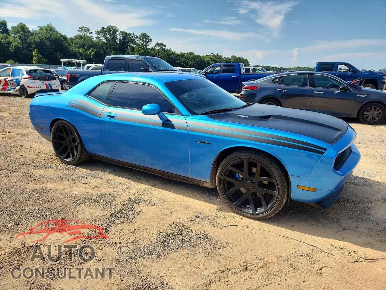 DODGE CHALLENGER 2010 - 2B3CJ5DTXAH130863