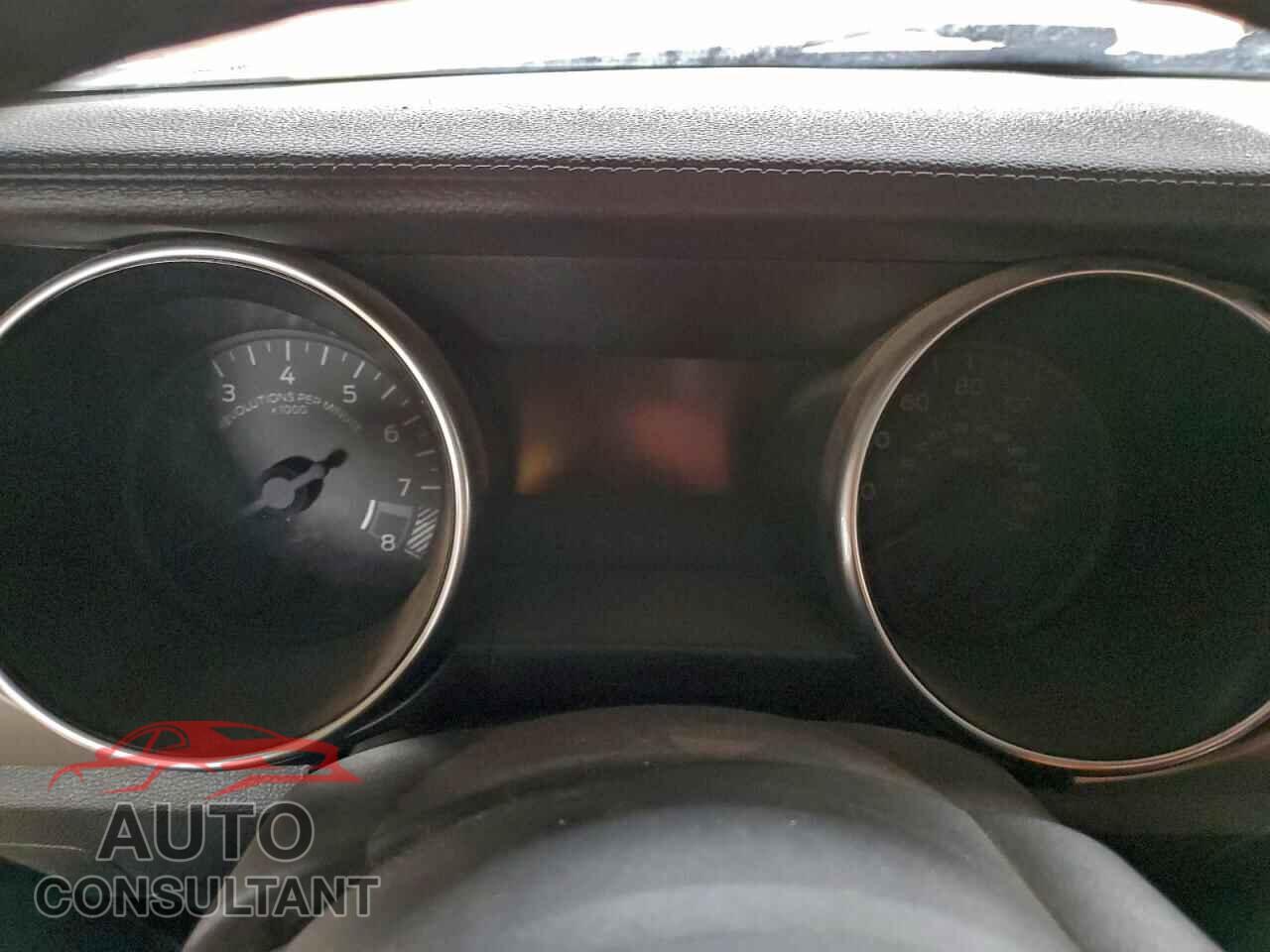 FORD MUSTANG 2019 - 1FA6P8CF4K5151925