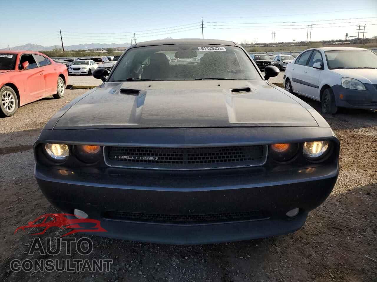 DODGE CHALLENGER 2013 - 2C3CDYAG2DH676337