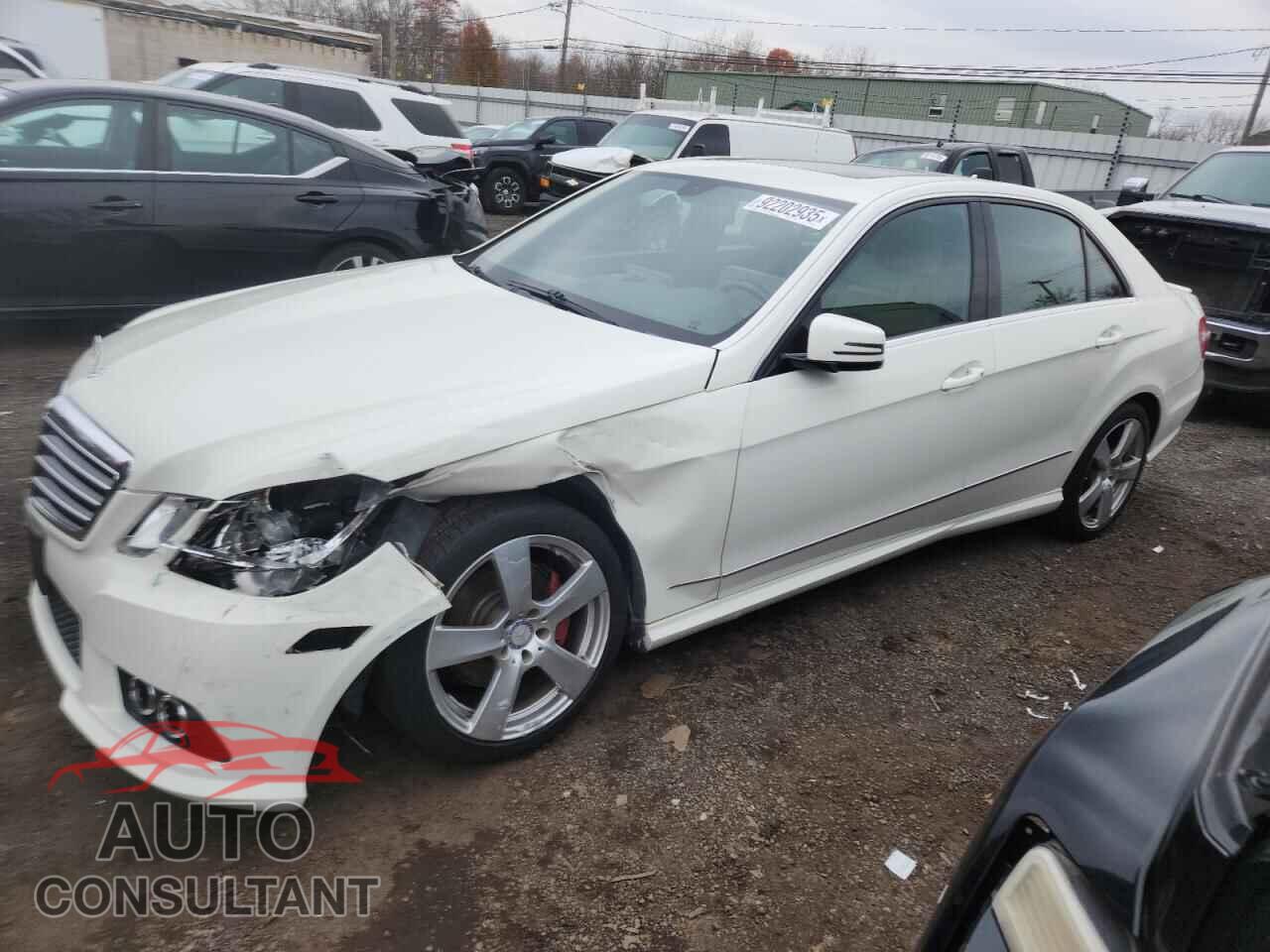 MERCEDES-BENZ E-CLASS 2010 - WDDHF8HB7AA106078