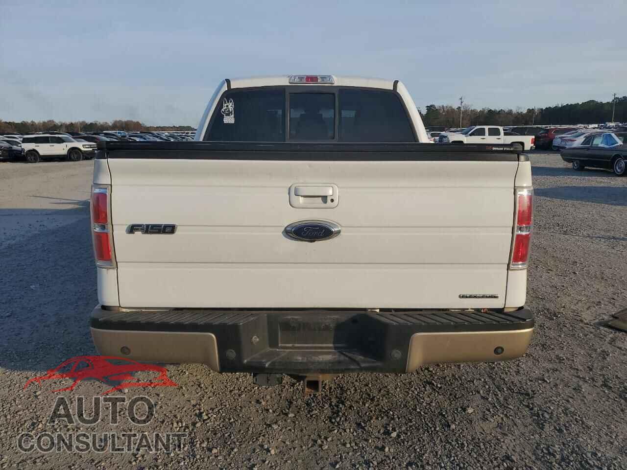 FORD F150 2011 - 1FTFW1CF3BFA63897