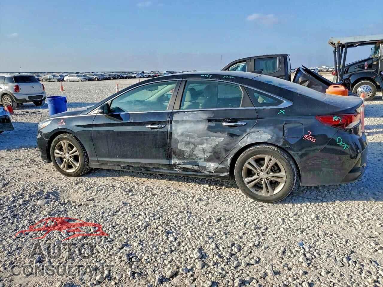 HYUNDAI SONATA 2019 - 5NPE34AF5KH816554