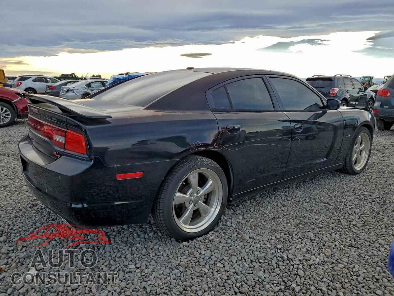 DODGE CHARGER 2013 - 2C3CDXCT2DH519010