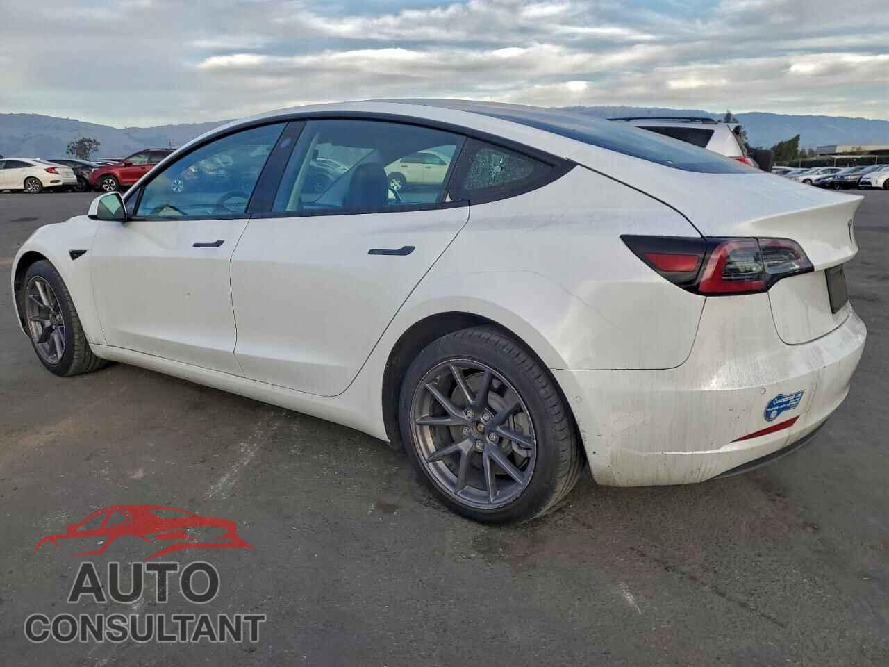 TESLA MODEL 3 2021 - 5YJ3E1EA6MF878660