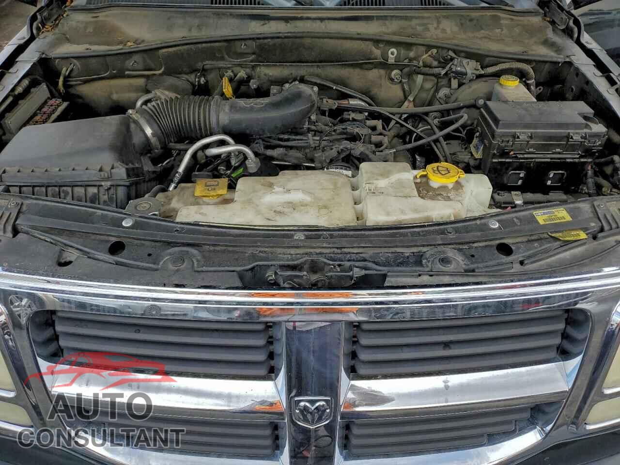 DODGE NITRO 2011 - 1D4PT2GK8BW599984