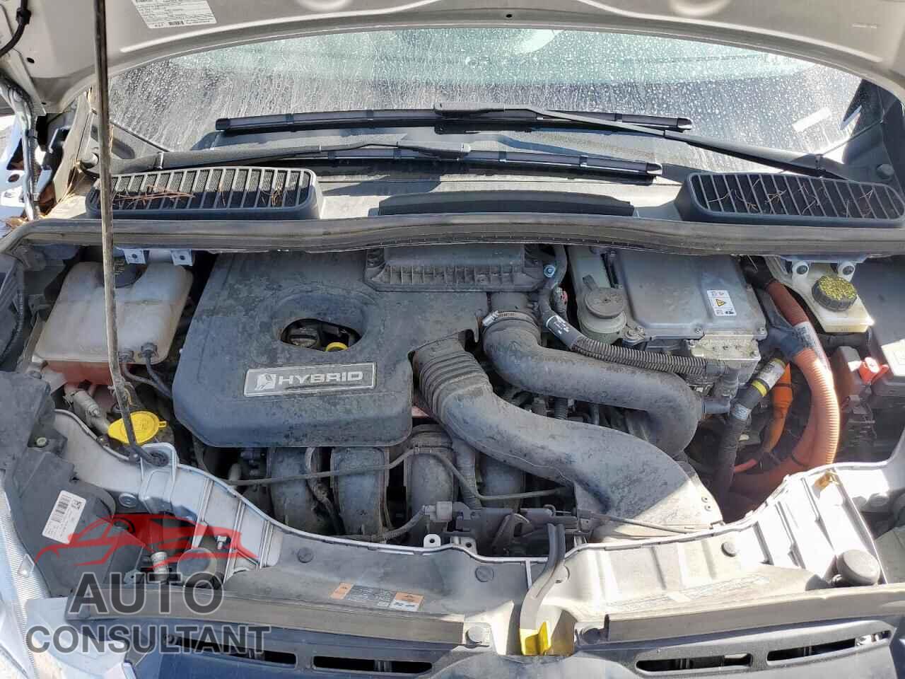 FORD CMAX 2017 - 1FADP5DU4HL118821