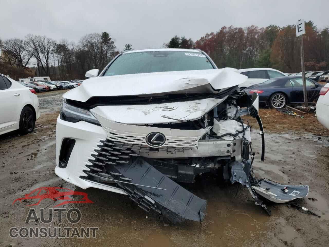 LEXUS RX 350H BA 2024 - 2T2BBMCA2RC046765