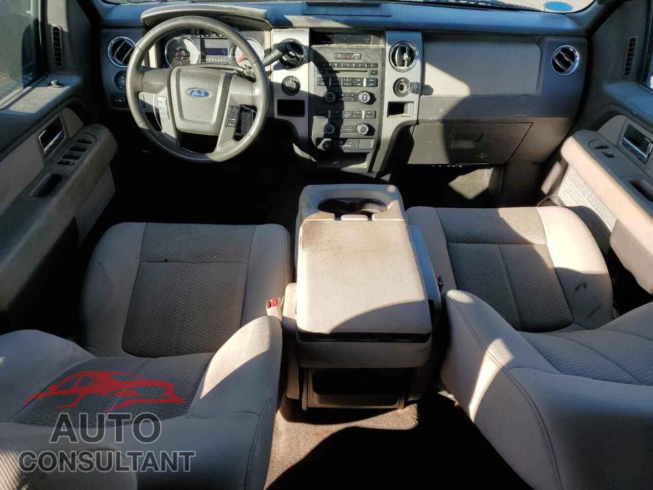 FORD F-150 2010 - 1FTEW1E85AFC82384
